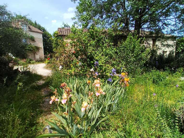 Maison Cahors - 11 chambres - 440m²
