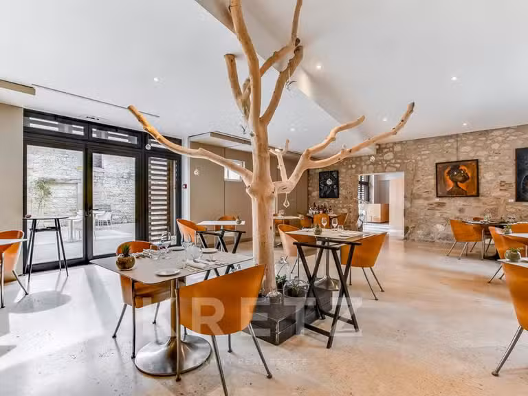 Château Cahuzac-sur-Vère - 18 chambres - 850m²