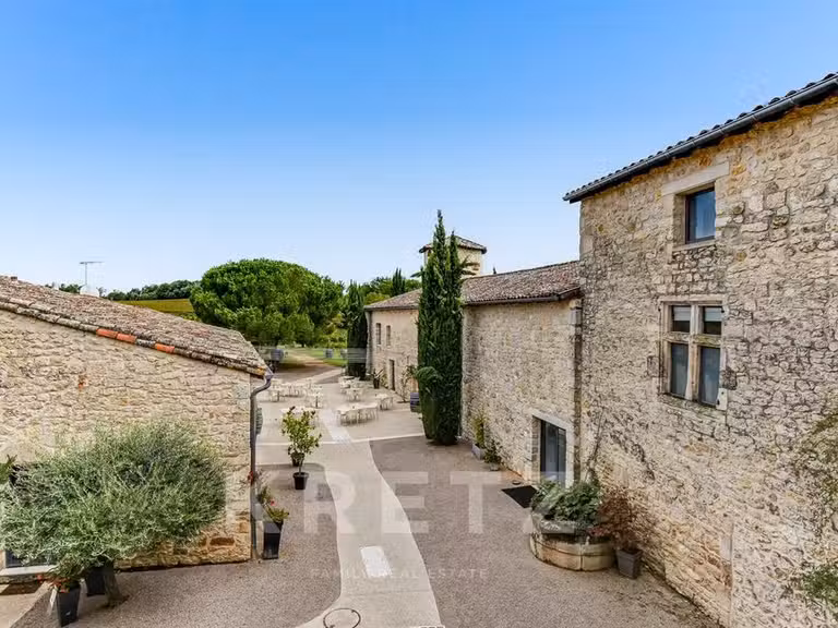 Château Cahuzac-sur-Vère - 18 chambres - 850m²