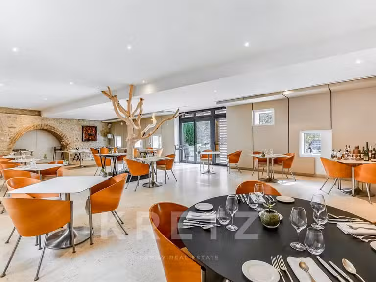 Château Cahuzac-sur-Vère - 18 chambres - 850m²