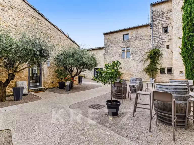 Château Cahuzac-sur-Vère - 18 chambres - 850m²