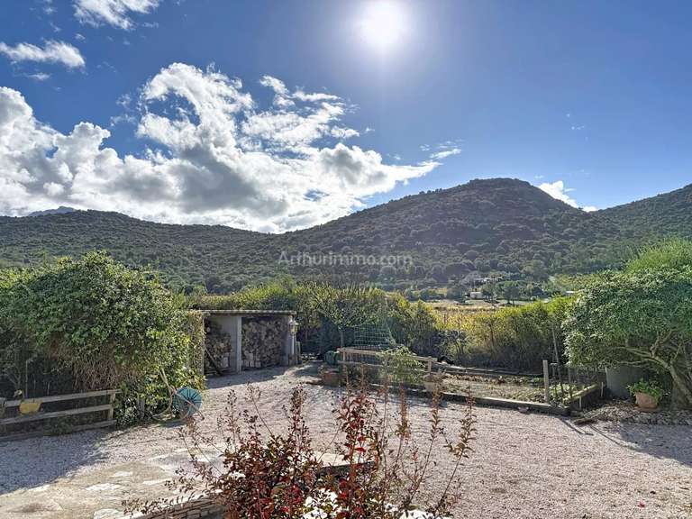 Maison Calenzana - 3 chambres - 116m²