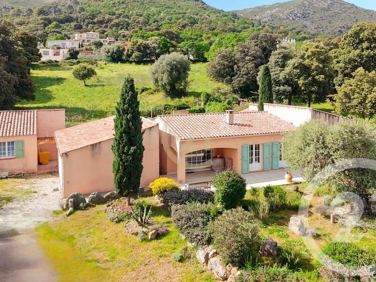 Maison Calenzana - 4 chambres - 181m²