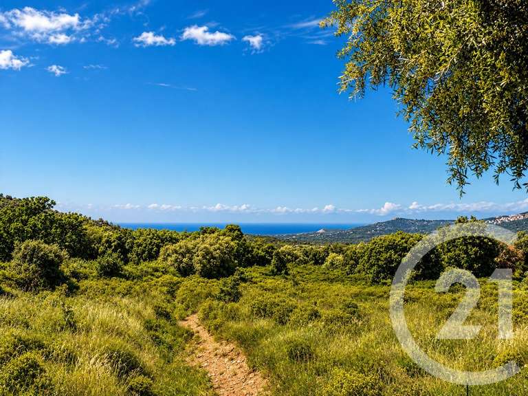 Maison Calenzana - 4 chambres - 107m²