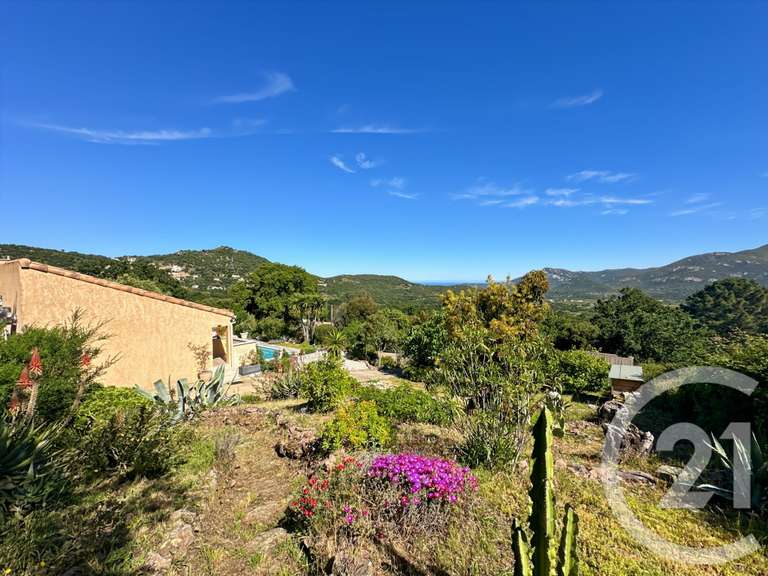Maison Calenzana - 4 chambres - 145m²