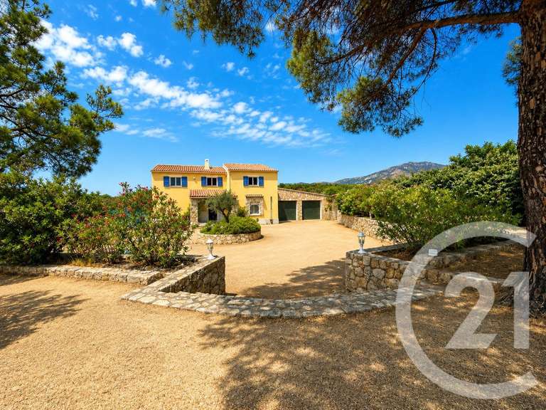 Maison Calenzana - 5 chambres - 421m²