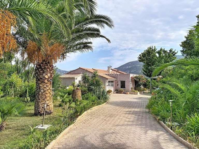 Maison Calenzana - 5 chambres - 200m²