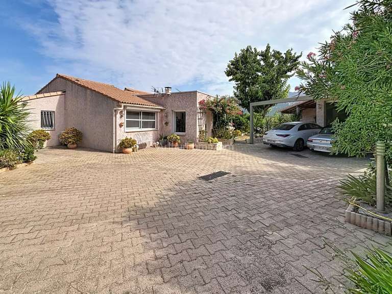 Maison Calenzana - 5 chambres - 200m²