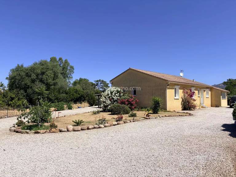 Villa Calenzana - 4 chambres - 111m²