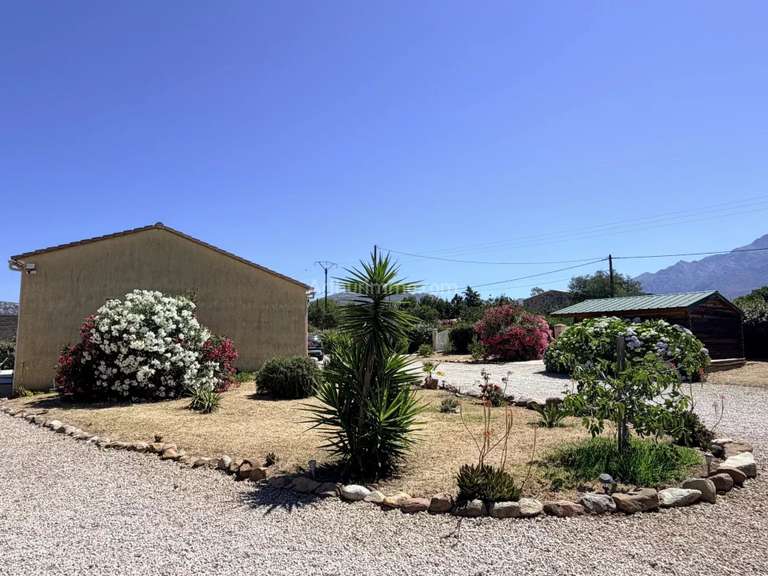Villa Calenzana - 4 chambres - 111m²