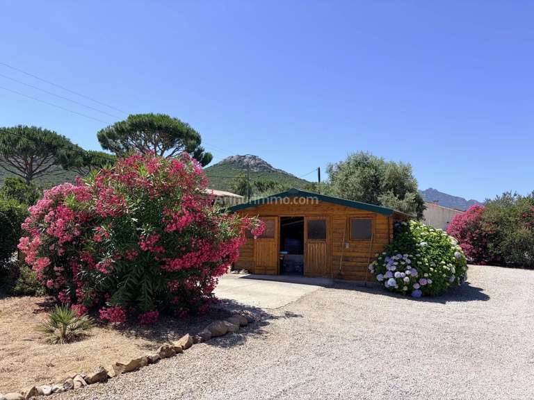 Villa Calenzana - 4 chambres - 111m²