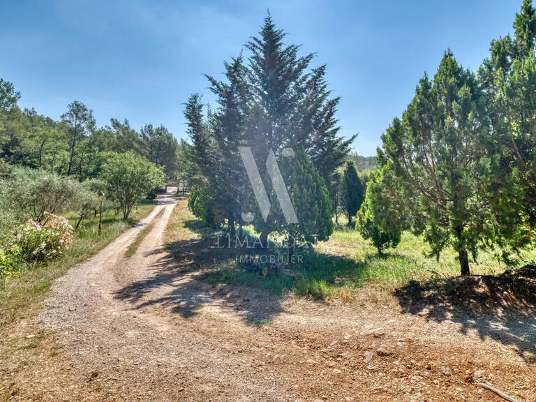 Villa Callas - 4 chambres - 550m²