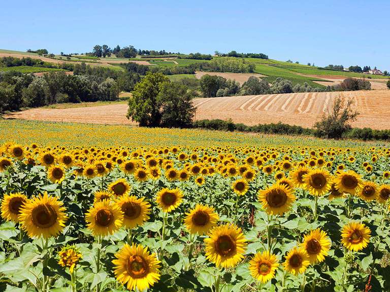 Maison Calmont - 7 chambres - 300m²