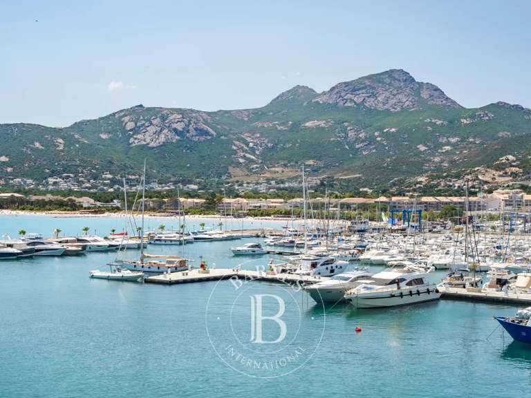 Appartement Calvi - 3 chambres - 135m²