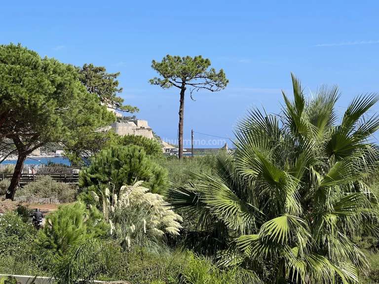 Appartement Calvi - 3 chambres - 110m²