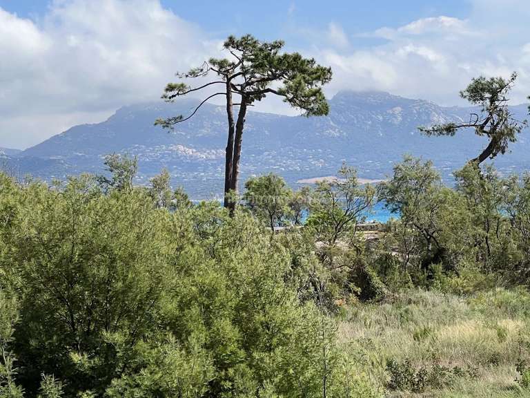 Appartement Calvi - 3 chambres - 110m²