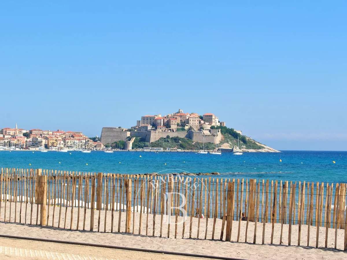 Appartement Calvi