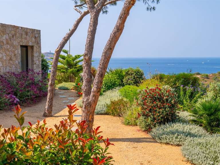 House with Sea view Calvi - 5 bedrooms - 340m²