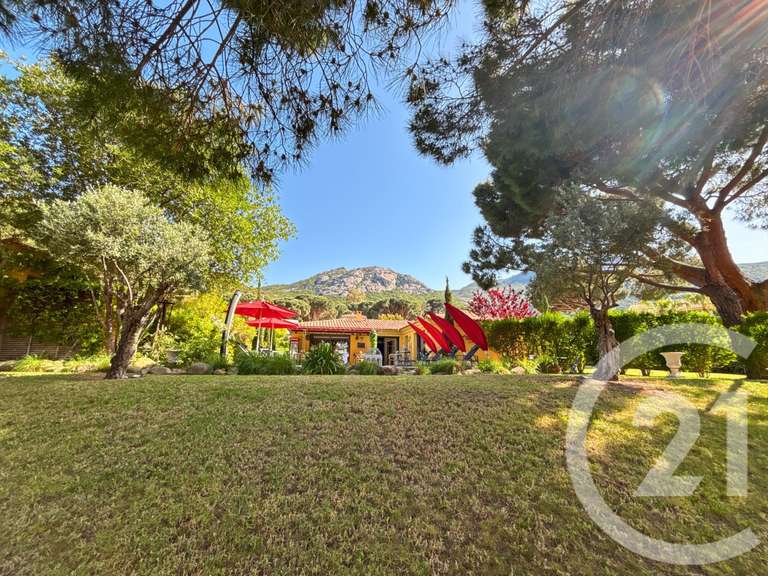 Maison Calvi - 6 chambres - 215m²