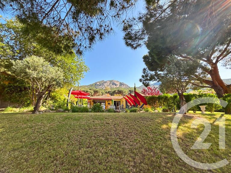 Maison Calvi - 6 chambres - 44m²