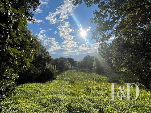 House Calvi - 3 bedrooms - 182m²