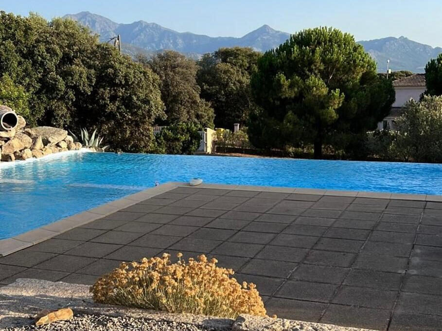 House Calvi