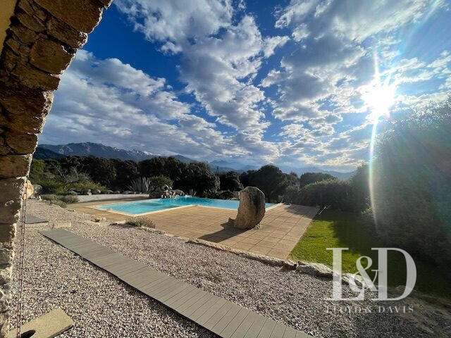 House Calvi