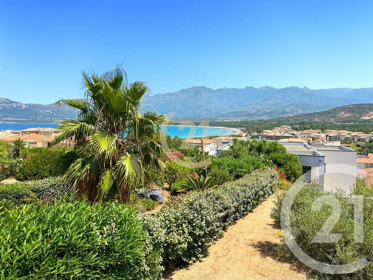 Maison Calvi - 3 chambres - 17m²