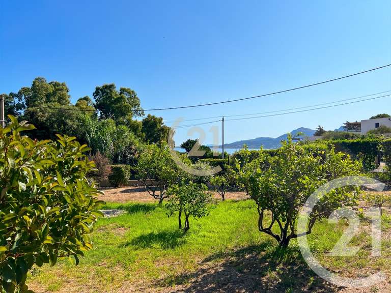 Maison Calvi - 3 chambres - 196m²
