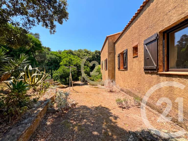 Maison Calvi - 3 chambres - 196m²