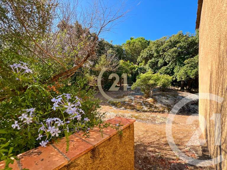 Maison Calvi - 3 chambres - 7m²