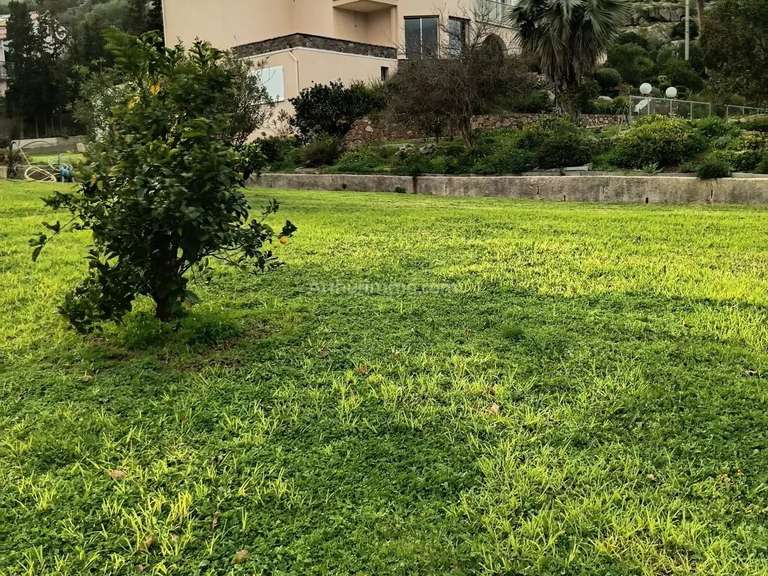 Maison Calvi - 5 chambres - 389m²