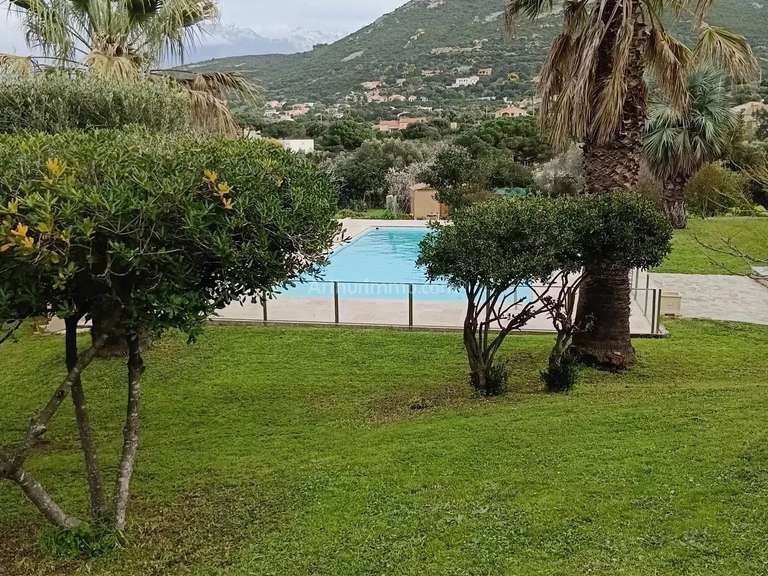 Maison Calvi - 5 chambres - 389m²