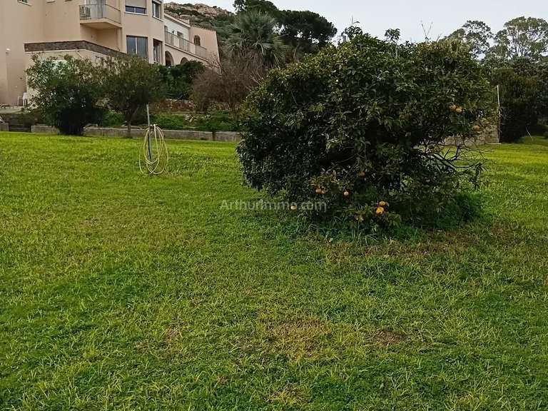 Maison Calvi - 5 chambres - 389m²