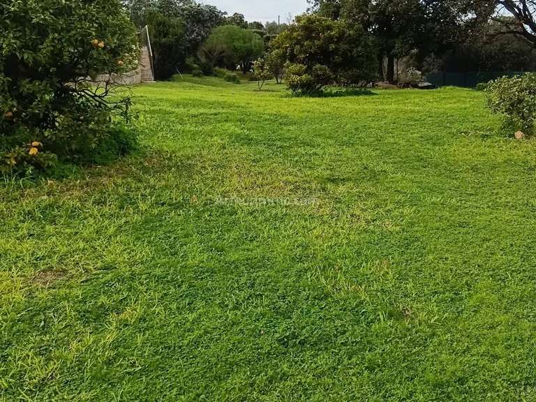 Maison Calvi - 5 chambres - 389m²