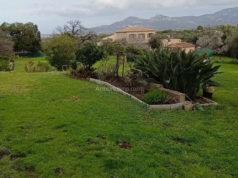 Maison Calvi - 5 chambres - 389m²