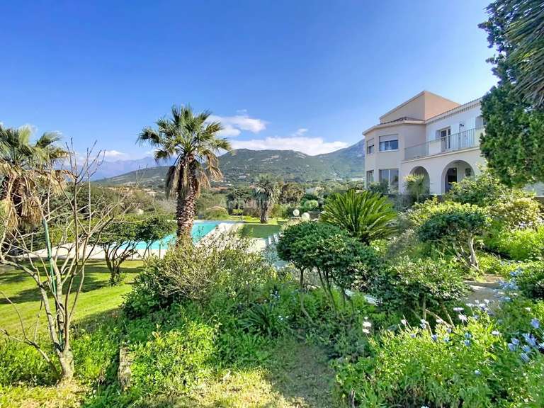 Maison Calvi - 5 chambres - 389m²