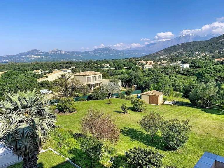 Maison Calvi - 5 chambres - 389m²