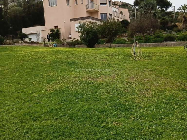 Maison Calvi - 5 chambres - 389m²