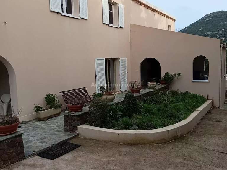 Maison Calvi - 5 chambres - 389m²