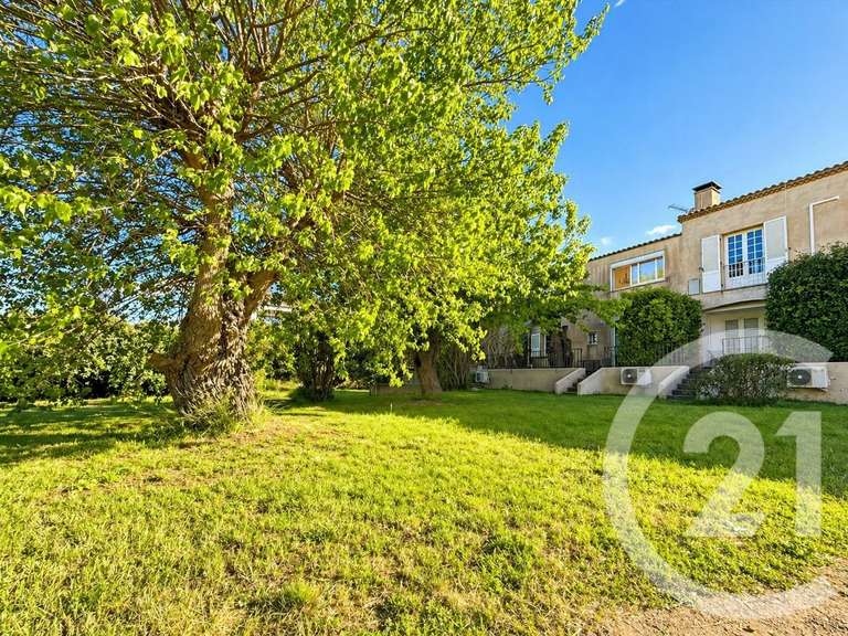 Maison Calvi - 8 chambres - 320m²