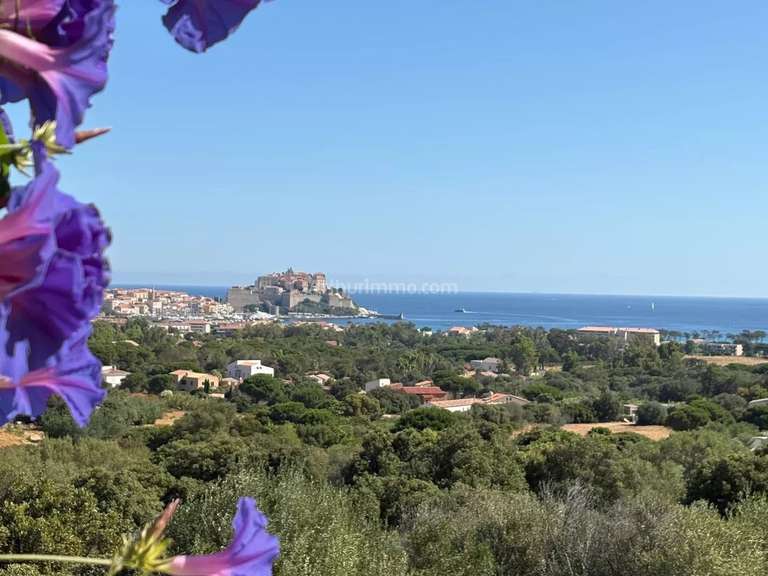 Maison avec Vue sur mer Calvi - 2 chambres - 68m²