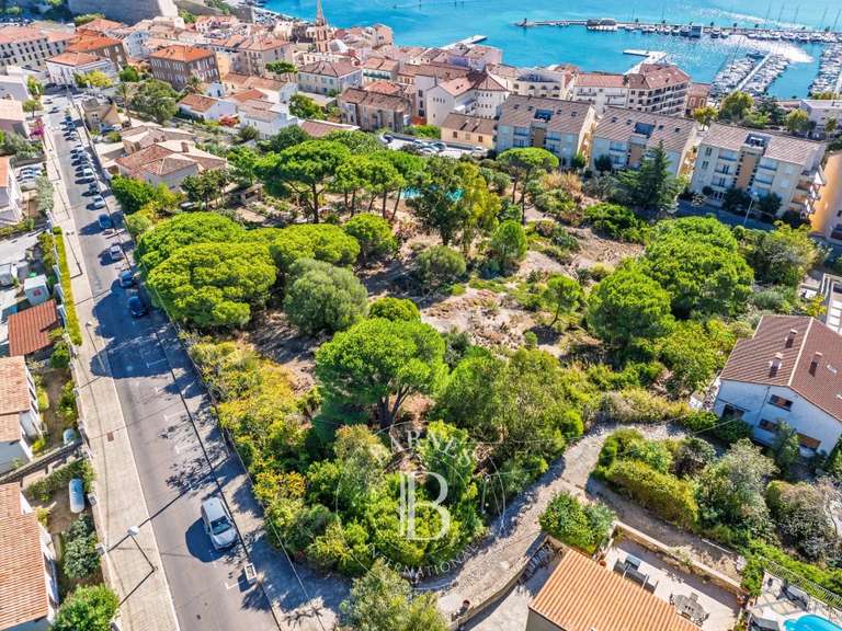 Terrain Calvi - 3852m²