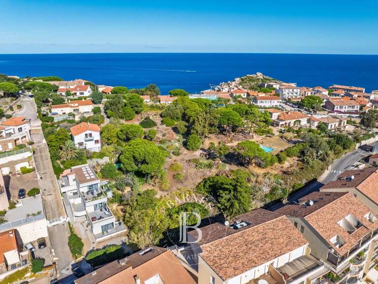 Terrain Calvi - 3852m²