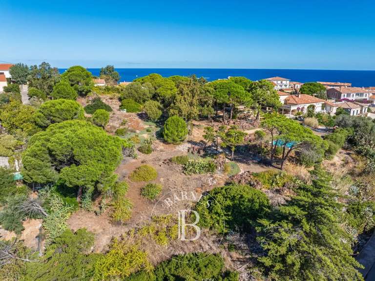 Terrain Calvi - 3852m²