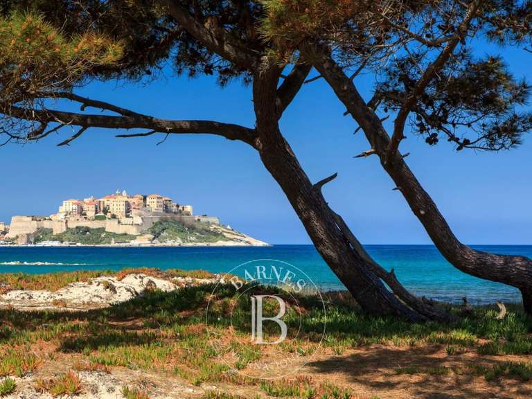 Villa Calvi - 5 chambres - 260m²