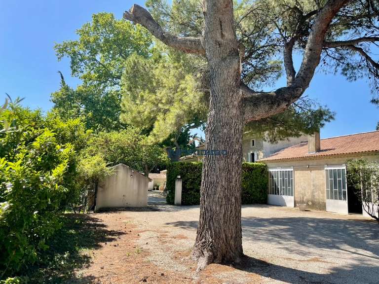 Maison Camaret-sur-Aigues - 5 chambres - 236m²