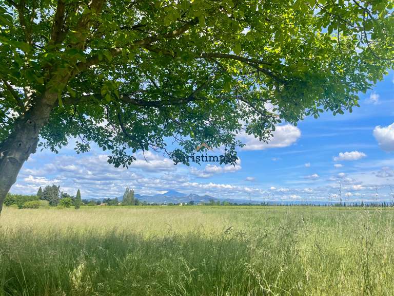 Maison Camaret-sur-Aigues - 5 chambres - 236m²