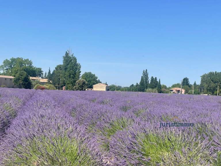 Maison Camaret-sur-Aigues - 5 chambres - 236m²