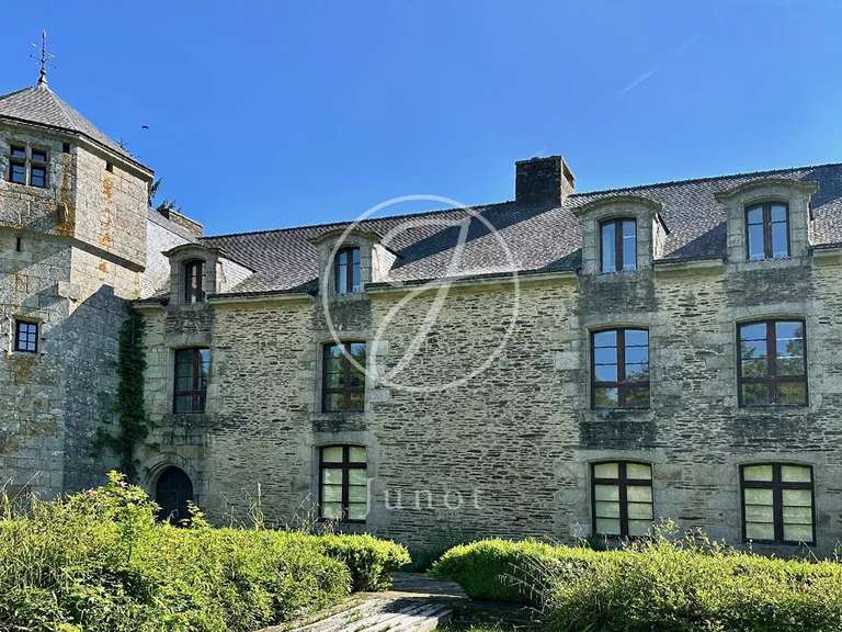 Manoir Camors - 8 chambres - 1172117m²